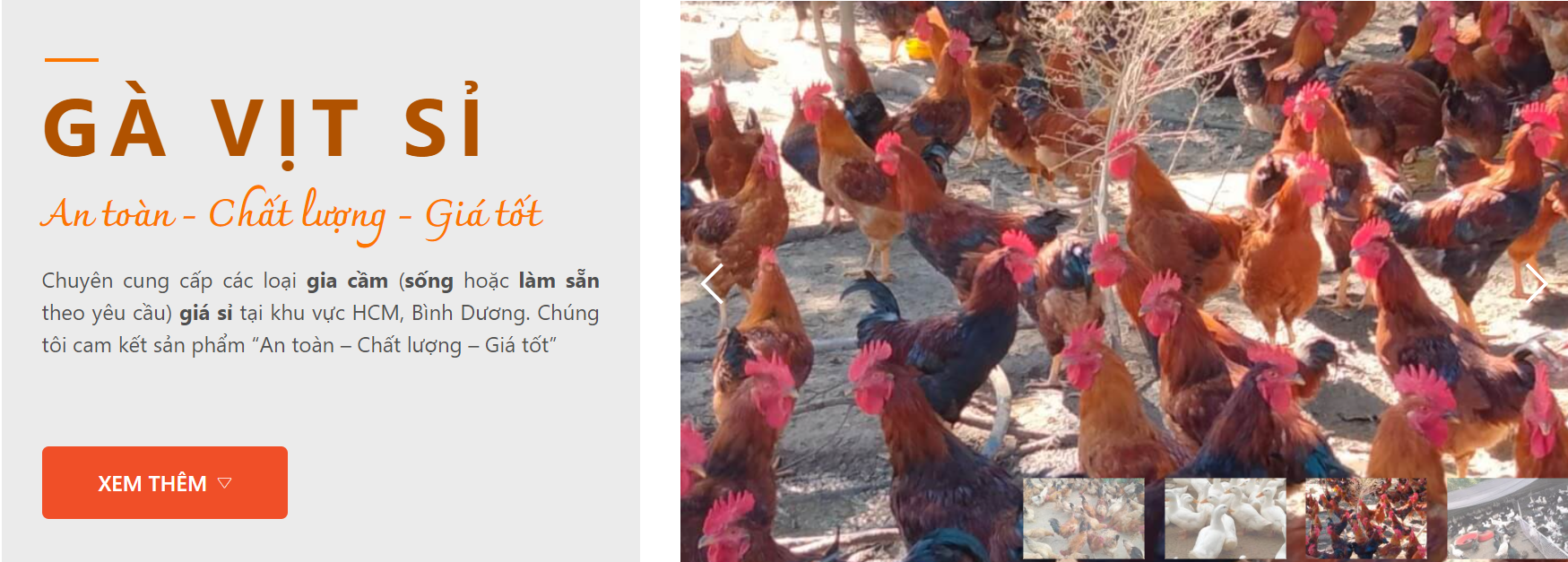 thực phẩm vifood