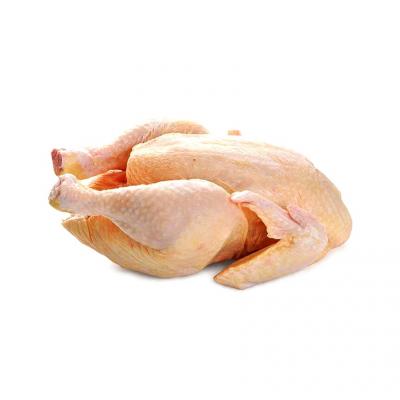 Bọng Gà giá sỉ