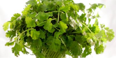 các loại rau tại việt nam