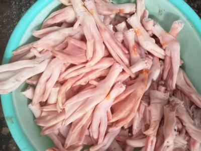 chân vịt nguyên xương