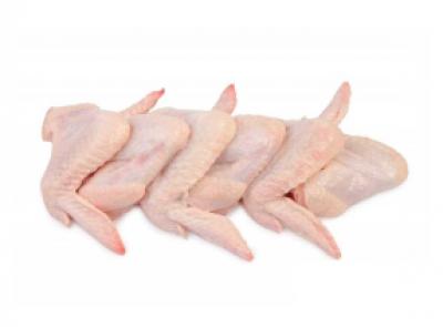 Cung cấp sỉ cánh gà