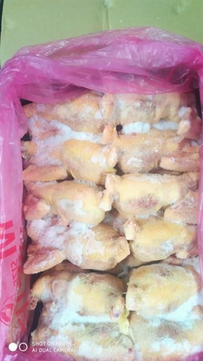 Cung cấp thịt gà giá sỉ