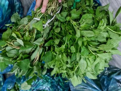 Cung cấp thực phẩm sạch cho bếp ăn công nghiệp