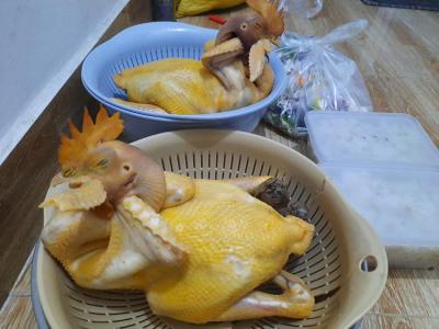 Đặt gà cúng quận 7, gà ta thả vườn giao tận nơi TPHCM