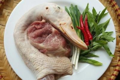 ĐẦU VỊT | DUCK HEAD