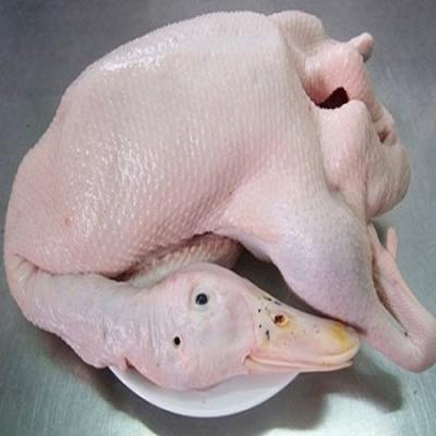 Nhà cung cấp - Cửa hàng bán buôn sỉ lẻ thịt gia cầm gà vịt tươi, đông lạnh giá rẻ tại TPHCM