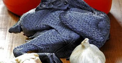  Những bài thuốc bổ dưỡng được làm từ gà ác