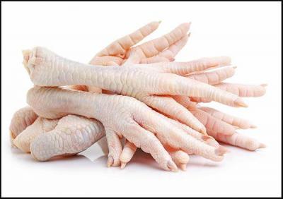 Phân phối chân gà tươi giá sỉ