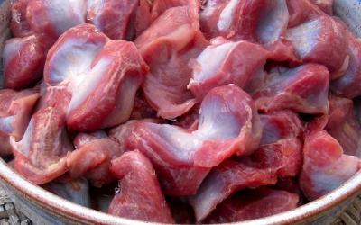 Phân phối Mề gà giá sỉ