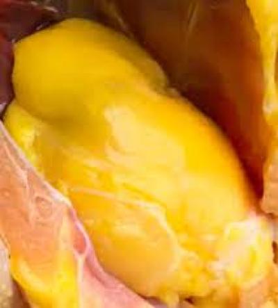 Phân phối Mỡ gà giá sỉ