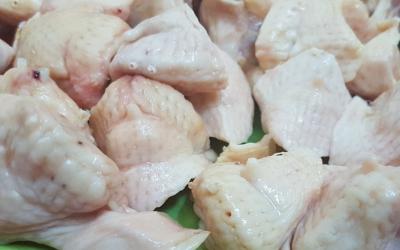 Phân phối Phao câu gà giá sỉ