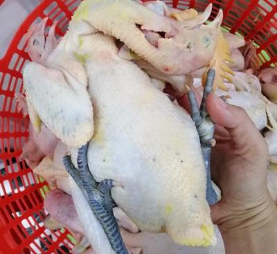 si lẻ gà tre làm sạch tphcm