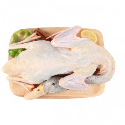 Vịt cỏ giá sỉ, giá bán buôn