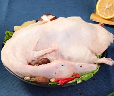 Vịt cỏ (vịt đồng) sống, làm sạch, nuôi thả tự nhiên . 2-2,5 kg/con