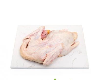 Vịt nguyên con cp đông lạnh 2.4kg