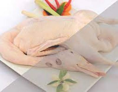 Vịt nguyên Con giá sỉ, giá bán buôn