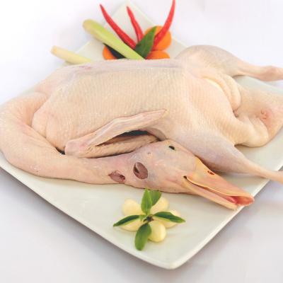 Vịt Siêu Thịt Giá Sỉ