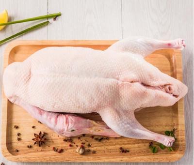 Vịt trời làm sạch thơm ngon giá tốt . 1-1,5 kg/con