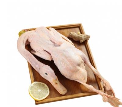 Vịt trời làm sạch, vị ngon tuyệt vời 1 kg/con