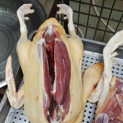 Vịt xiêm (vịt mái) còn sống nuôi thiên nhiên giá tốt . 2-2,5 kg/con