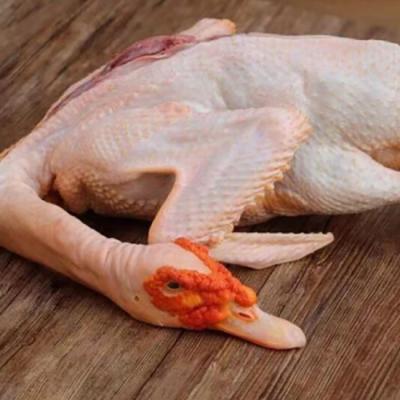 Vịt xiêm (vịt mái) sống làm sạch, nuôi thiên nhiên giá tốt . 2,5-3 kg/con